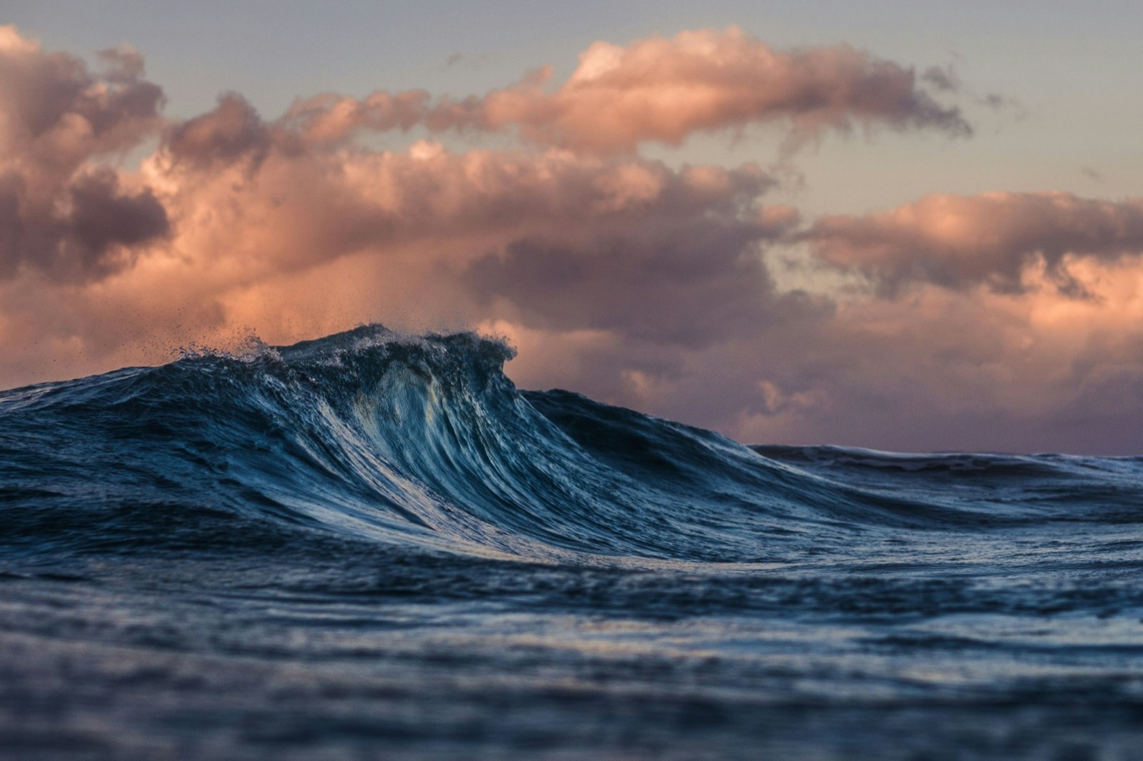 A wave rolling toward a tropical shoreline at dusk